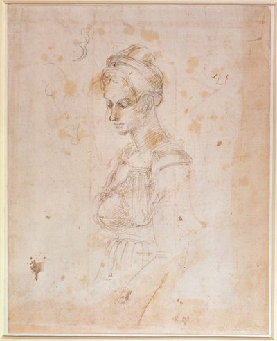Sketch of a Woman by Michelangelo Buonarroti